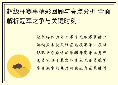 超级杯赛事精彩回顾与亮点分析 全面解析冠军之争与关键时刻