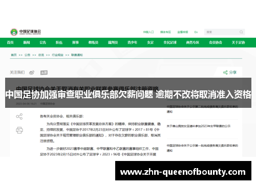 中国足协加强审查职业俱乐部欠薪问题 逾期不改将取消准入资格 中国足协加强审查职业俱乐部欠薪问题 逾期不改将取消准入资格